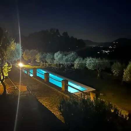 Nel Castello Del Cardaneto