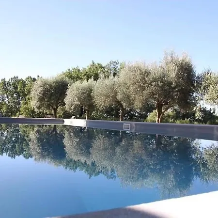 Nel Castello Del Cardaneto *