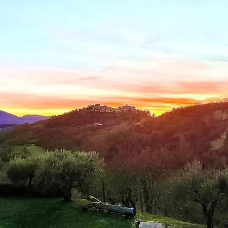 Nel Castello Del Cardaneto