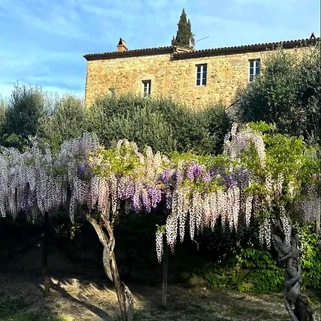 Nel Castello Del Cardaneto *