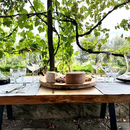 Nel Castello Del Cardaneto Lägenhet Montone (Umbria)