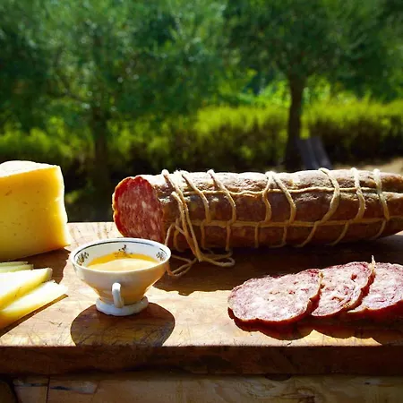 Nel Castello Del Cardaneto