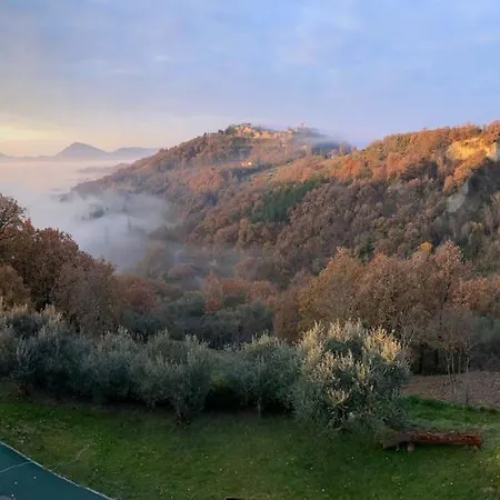 Nel Castello Del Cardaneto